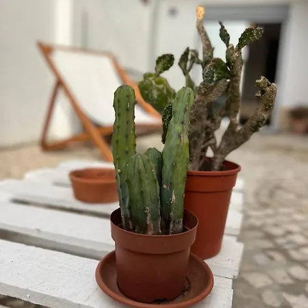 Privatunterkunft In